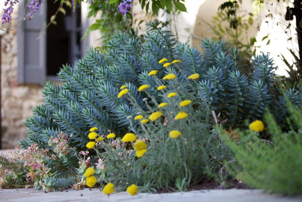 La Maison D'Ulysse Small Luxury Hotel Baron  Bagian luar foto